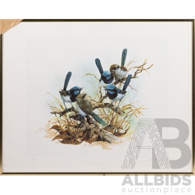 Paul Margocsy, (20th Century, Australian, 1945-), Superb Blue Wrens (1990), Watercolour, Signed Artist's Proof, 41 x 51 cm (frame)